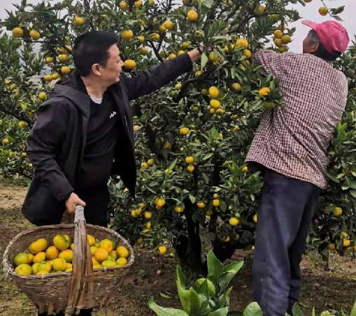 陕西移动：助农抢收情意浓 颗粒归仓保增收