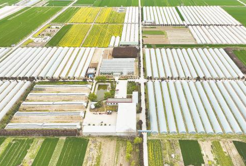 余黎晨：为实现乡村振兴注入青春能量