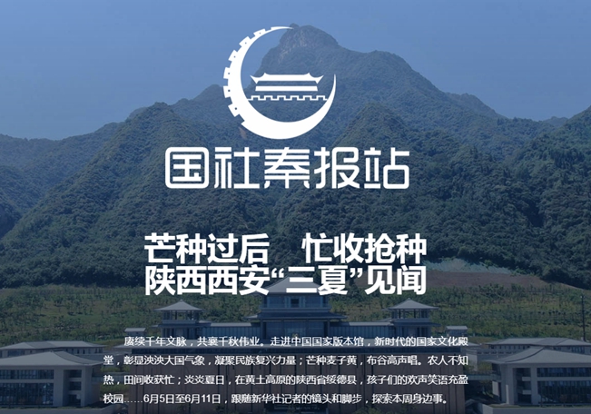 芒种过后　忙收抢种 陕西西安“三夏”见闻